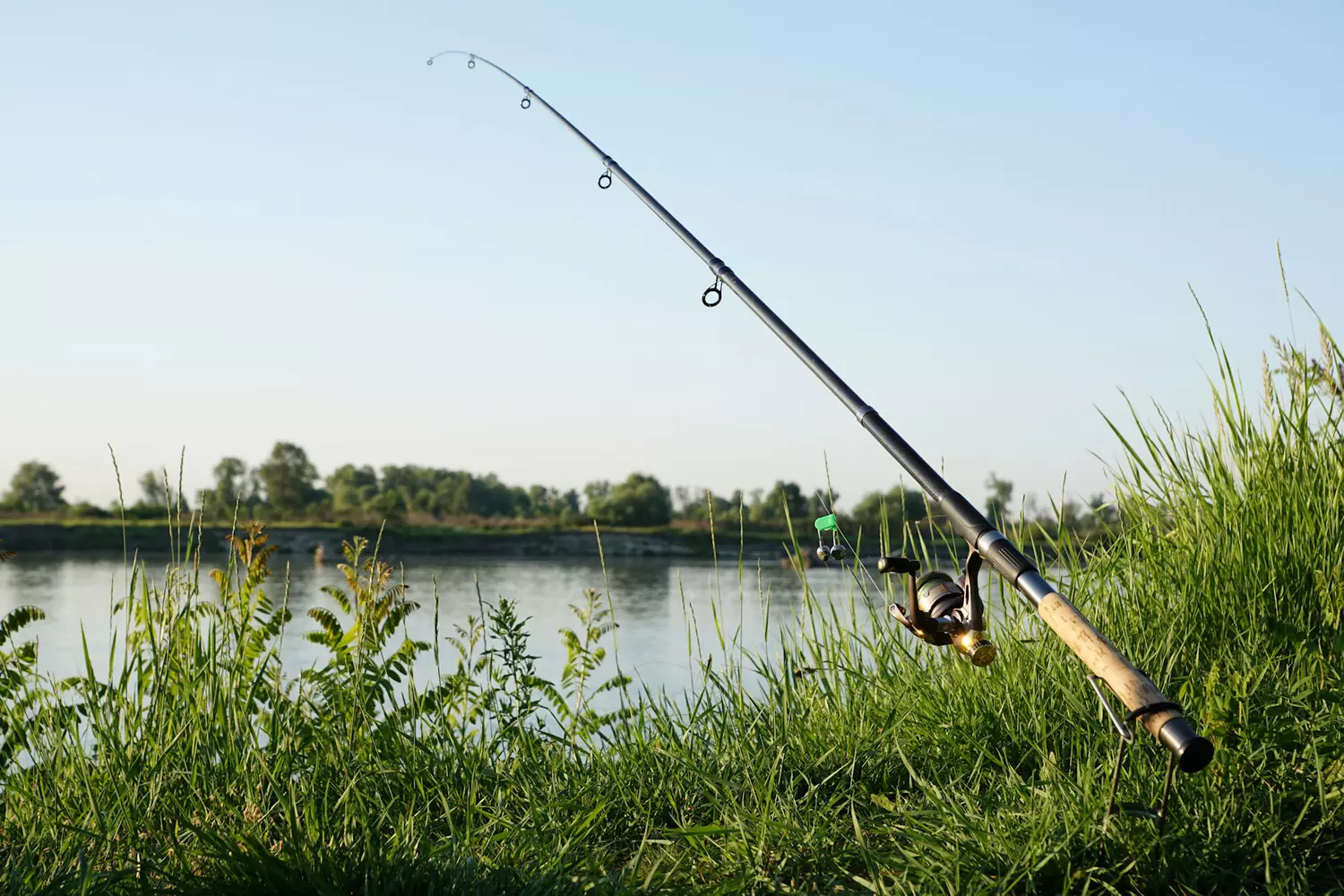 Devant -Abu Garcias Boutique 10767761