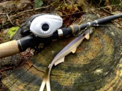 Quantum Accurist Baitcast AT101 HPT -Abu Garcias Boutique 22 570101 6