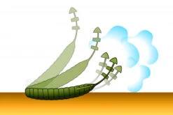 Deps Bull Flat 3.8'' 11 Deps Bull Flat 3.8'' -Abu Garcias Boutique D BF38 18r 6