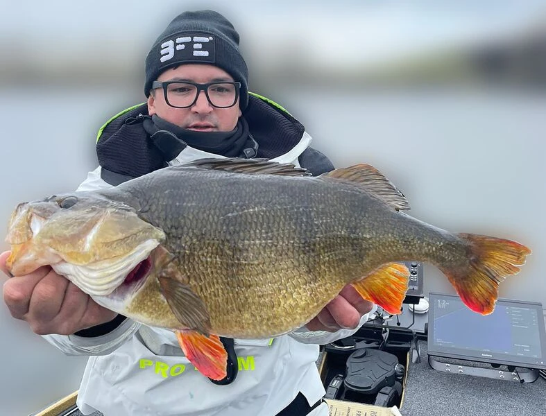 Keitech FAT Swing Impact 9,6cm 4 Keitech FAT Swing Impact 9,6cm – Image 4