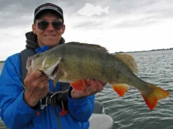 Keitech FAT Swing Impact 9,6cm 11 Keitech FAT Swing Impact 9,6cm -Abu Garcias Boutique KEI 6038CT06r 6