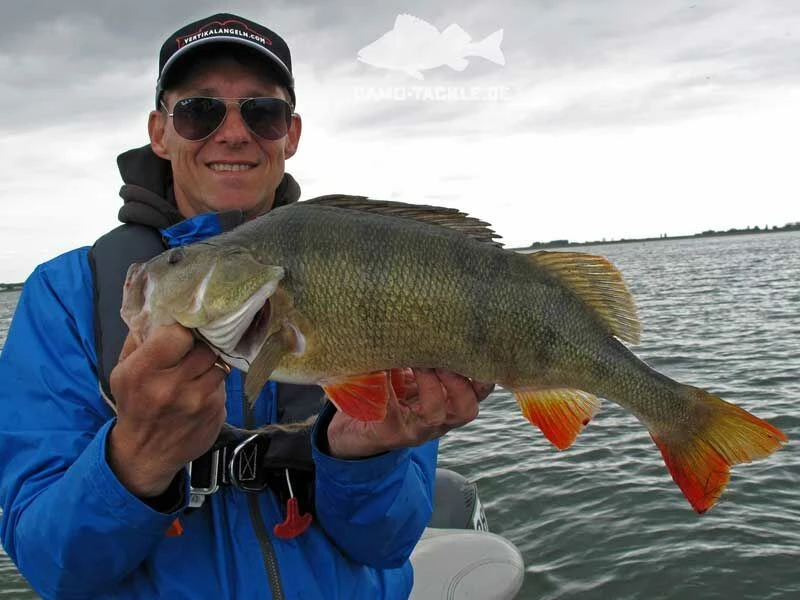 Keitech FAT Swing Impact 9,6cm 6 Keitech FAT Swing Impact 9,6cm – Image 6