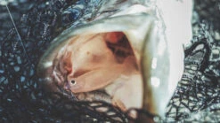 Megabass Hazedong Shad 3'', 7,6cm (8-pack) -Abu Garcias Boutique MB HD3 4513473331848r 3