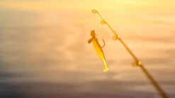 Megabass Hazedong Shad 3'', 7,6cm (8-pack) -Abu Garcias Boutique MB HD3 4513473331848r 5