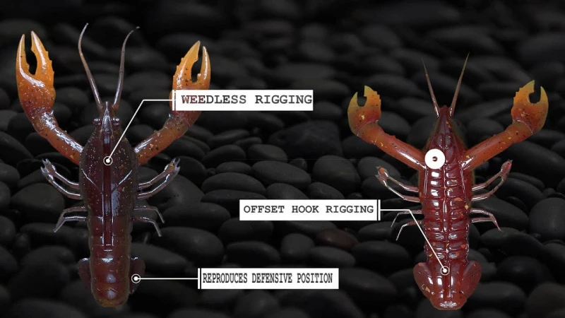 Nikko Craw 8,1cm (5-pack) 5 Nikko Craw 8,1cm (5-pack) – Image 5