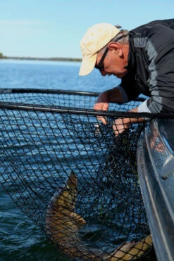 Drifter Tackle Predator Net 48 Black Handle 9 Drifter Tackle Predator Net 48 Black Handle -Abu Garcias Boutique PR40XXL BKr 4