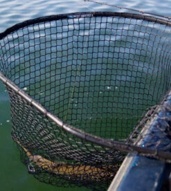 Drifter Tackle Predator Net 48 Black Handle 10 Drifter Tackle Predator Net 48 Black Handle -Abu Garcias Boutique PR40XXL BKr 5