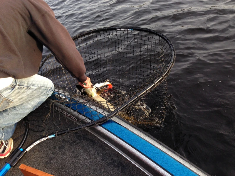 Drifter Tackle Predator Net 48 Black Handle 6 Drifter Tackle Predator Net 48 Black Handle – Image 6