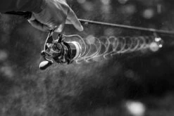 Shimano Stella FK -Abu Garcias Boutique STL1000FKr 6