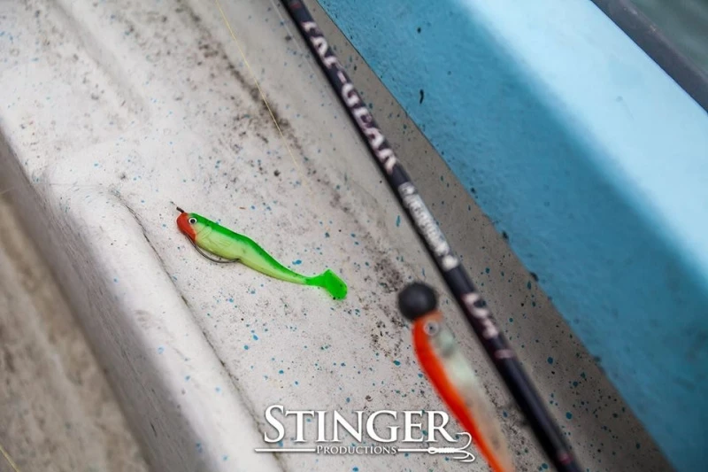 EXoshad 9,5cm (Bulk) 5 EXoshad 9,5cm (Bulk) – Image 5